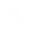 Raven